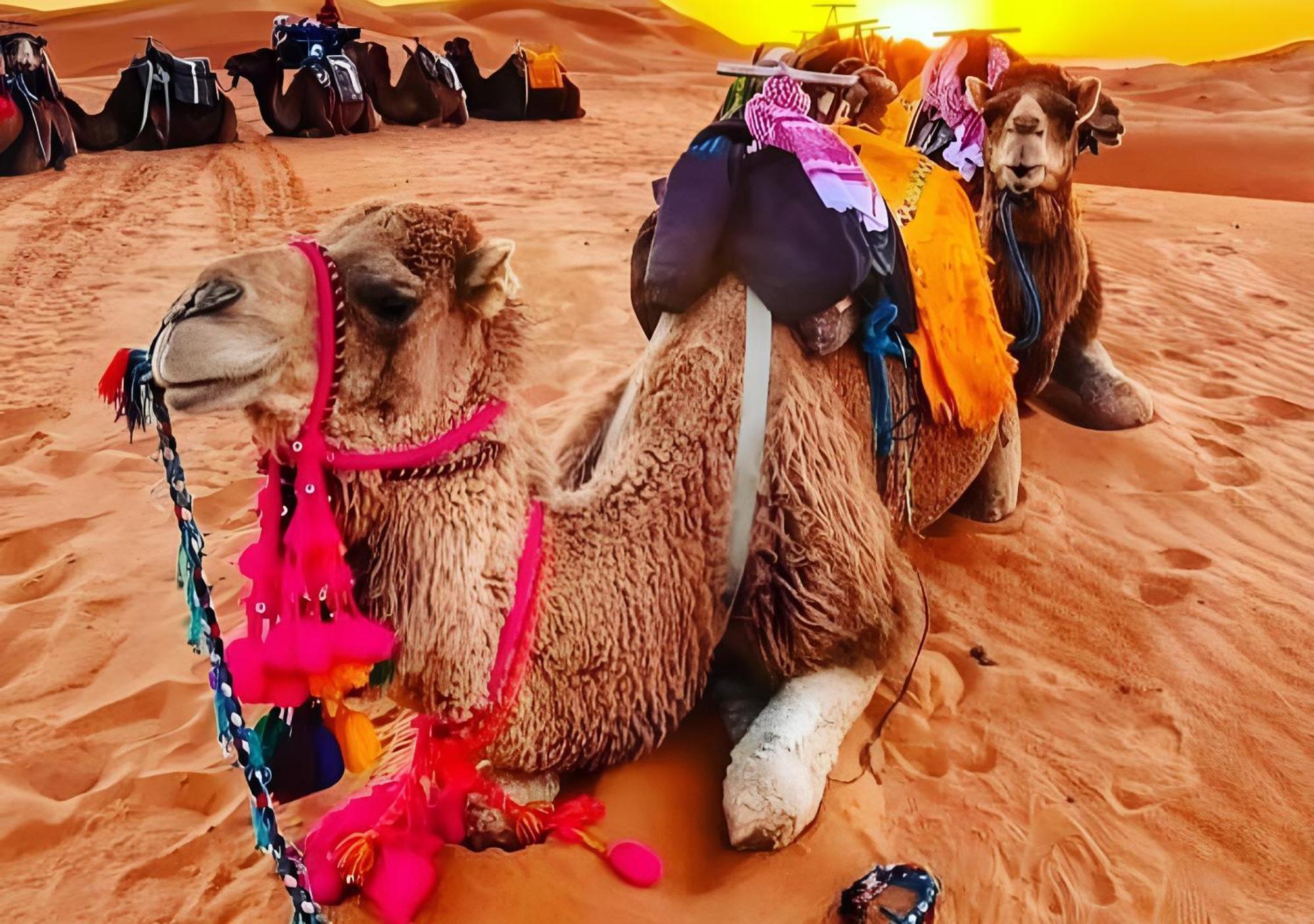 Top Desert Luxury Camp Merzouga Exteriér fotografie